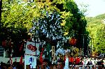 知られざる祇園祭　神宝奉持列 : 豊園泉正寺榊と中御座神輿