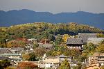 色づく大路小路 : 神楽岡・吉田山を望む