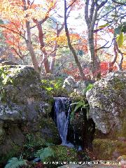秋の物見遊山 / 紅葉見・観楓