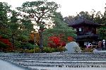 近場で紅葉狩