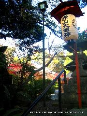 洛外紅葉街道　ドライブ計画