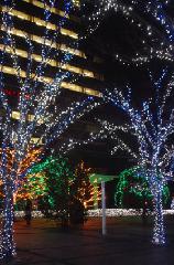 師走の京の電飾