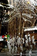 バレンタインも縁結びの人