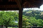 洛中洛外京桜図　一見さんの桜に通の桜　編　その四 : 阿弥陀ケ峯を背景の太閤坦の花見は超穴場である