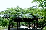 秀吉が京都に残したもの : 再興修復の豊国社拝殿の先に565段の石の階段が・・・