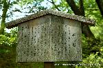 続　秀吉が京都に残したもの　聚楽第の遺構とお土居 : 史蹟指定はされていないが、原型を残す