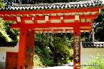 あじさい寺に宇治十帖