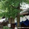 祇園祭　鉾町の和菓子