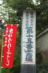 茅の輪潜りにきゅうり封じ