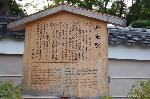 茅の輪潜りにきゅうり封じ