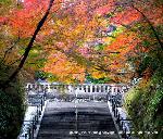 知られざる清水寺境内の紅葉