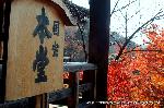 知られざる清水寺境内の紅葉 : 国宝本堂の墨色と紅葉