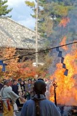 広隆寺　聖徳太子御火焚祭 : 色づく紅葉と御火焚の炎