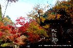 近場で紅葉狩