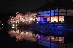 桜を愛でる : 尚美館(旧貴賓殿)が青く照らされ、コンサートとの舞台となり、東神苑の紅しだれとの競演を見せてくれる。
