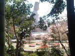 祇園めぐり : 高台寺の竹林から見た霊山観音